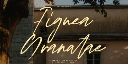 Figuea  Granatae Font Poster 1