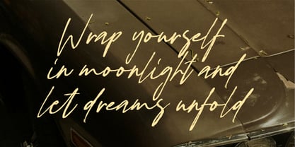 Figuea  Granatae Font Poster 8