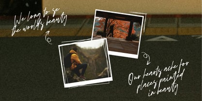 Figuea  Granatae Font Poster 9