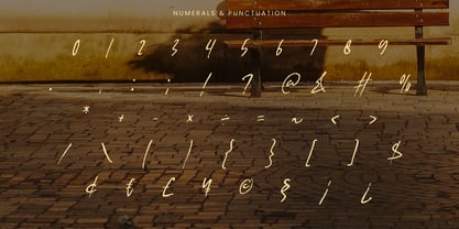 Figuea  Granatae Font Poster 11