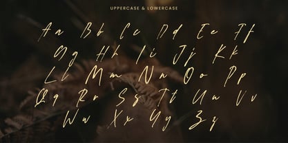 Figuea  Granatae Font Poster 10