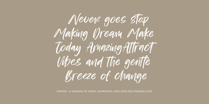 Bestovy Wisher Font Poster 7