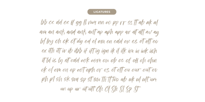 Bestovy Wisher Font Poster 14