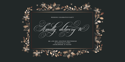 Brilliani Pro Font Poster 5