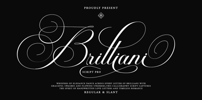 Brilliani Pro Font Poster 1