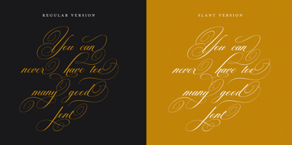 Brilliani Pro Font Poster 4