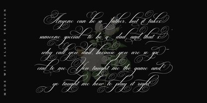 Brilliani Pro Font Poster 6