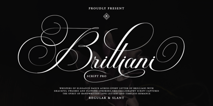 Brilliani Pro Font Poster 13