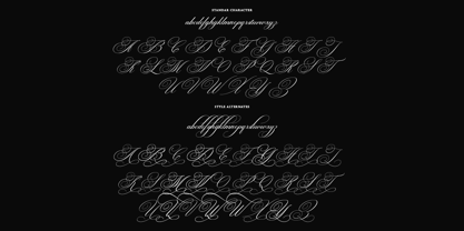 Brilliani Pro Font Poster 11