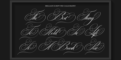 Brilliani Pro Font Poster 8