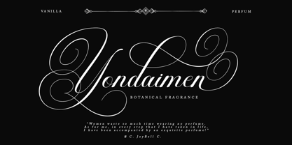 Brilliani Pro Font Poster 3