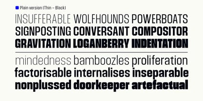 Nicon VF Font Poster 12