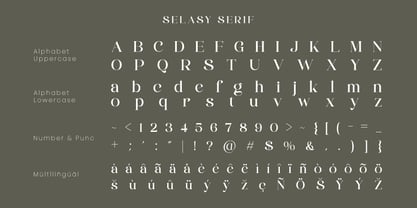 Selasy Font Poster 10