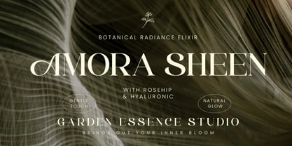 Selasy Font Poster 5