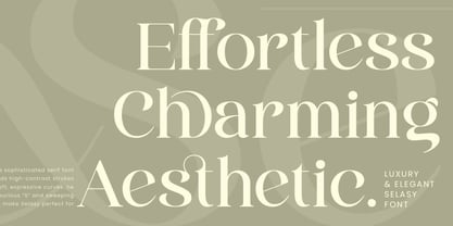 Selasy Font Poster 4