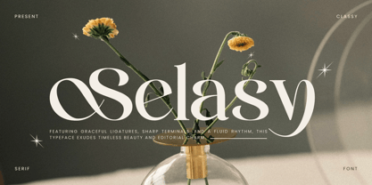 Selasy Font Poster 1