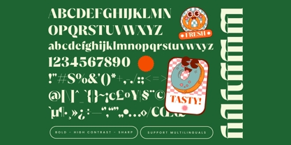 Zerift Font Poster 6