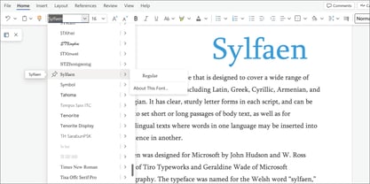 Sylfaen Font Poster 5