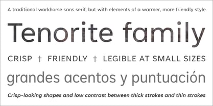 Tenorite Font Poster 3