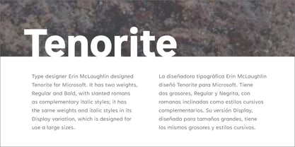 Tenorite Font Poster 4