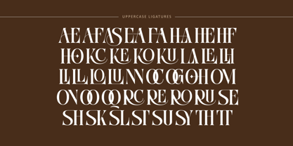 Bitho Luxury Font Poster 9