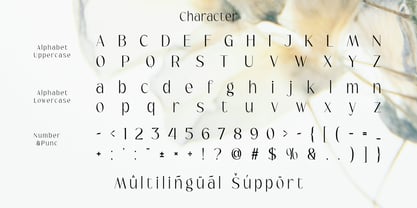 Serina Font Poster 10