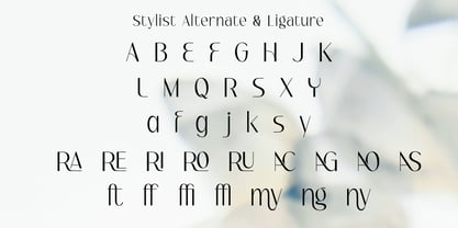 Serina Font Poster 11