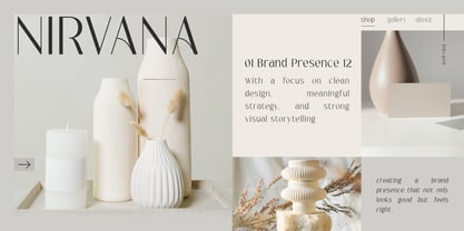 Serina Font Poster 2