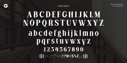 Vintera Font Poster 10
