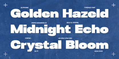 GC Dinko Font Poster 5