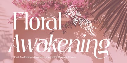 Deranie Font Poster 7