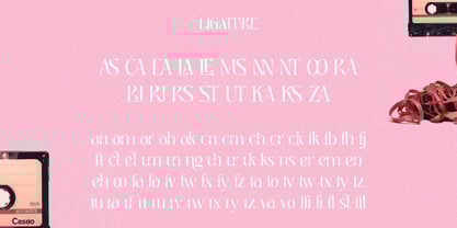 Deranie Font Poster 11