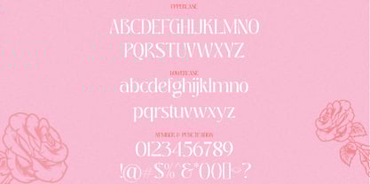 Deranie Font Poster 10