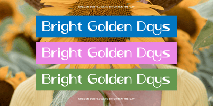 Novas Lumina Font Poster 13