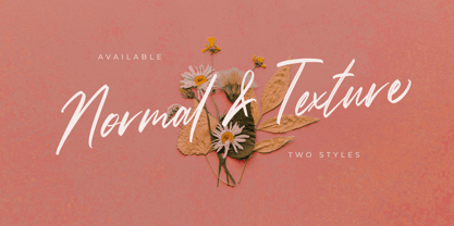 Sussane Font Poster 2