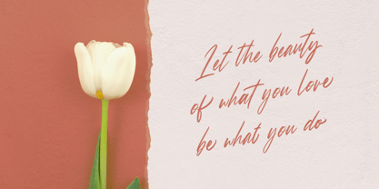 Sussane Font Poster 9