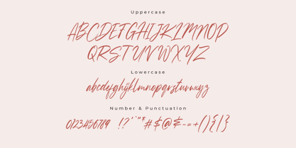 Sussane Font Poster 5