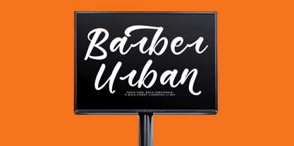 Starfall Nights Font Poster 12