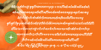 Starfall Nights Font Poster 15