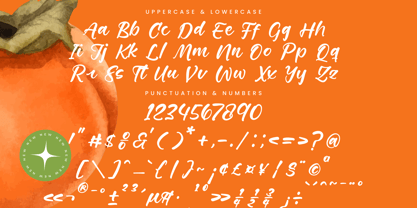 Starfall Nights Font Poster 14