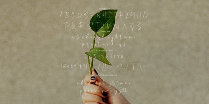 Canding Signature Font Poster 8