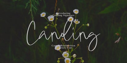 Canding Signature Font Poster 1