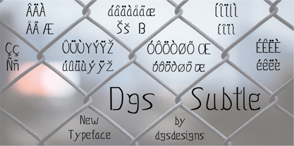Dgs Subtle Font Poster 8