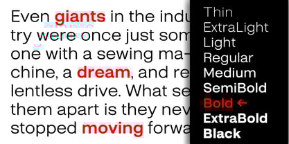 Belure Font Poster 6