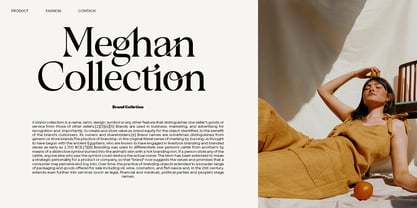 Brilliant gloriest Font Poster 7