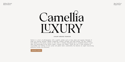 Brilliant gloriest Font Poster 9