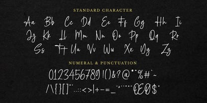 Cattalina Signature Font Poster 10