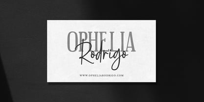 Cattalina Signature Font Poster 2