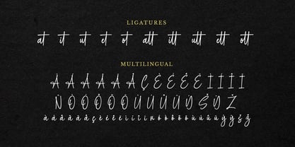Cattalina Signature Font Poster 11