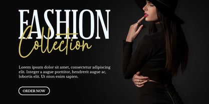 Cattalina Signature Font Poster 3